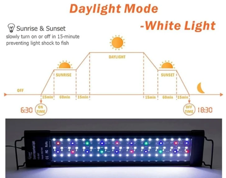 LED Auto on/off timer tank light