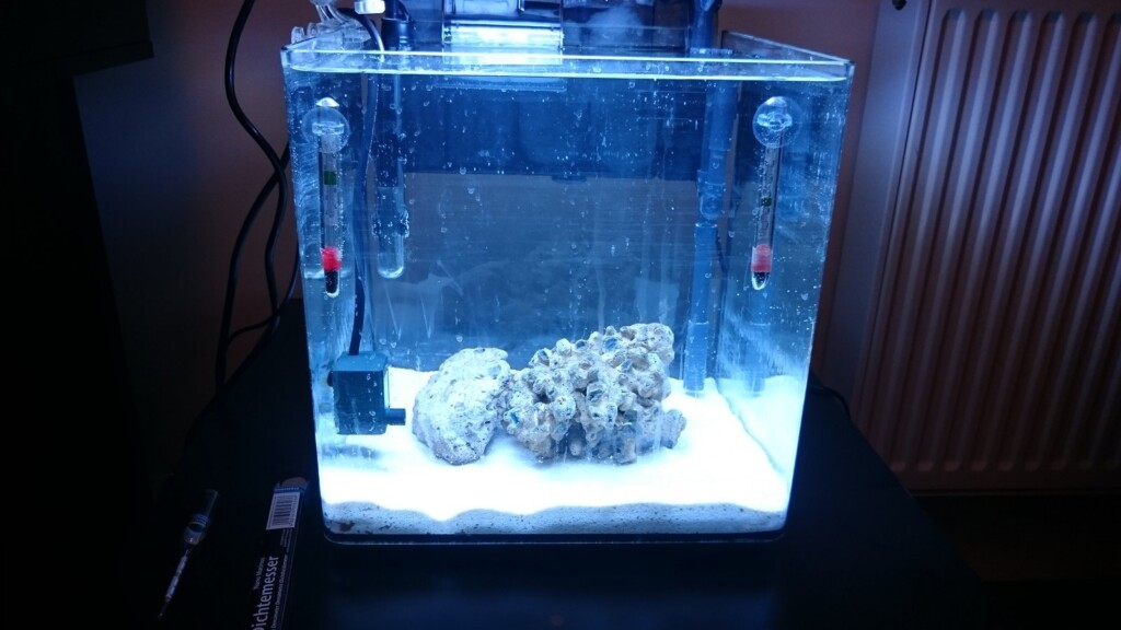 Nano tanks also need essential equipment like HOB filters and lighting