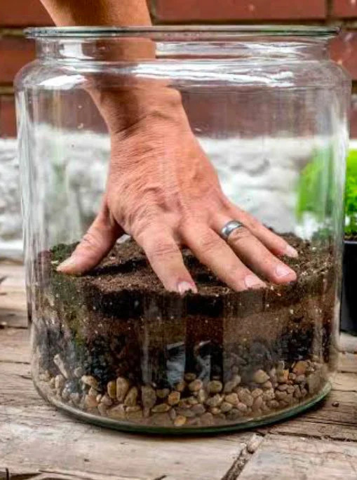 A hand being used to pat down the layered substrate of a jarrarium.