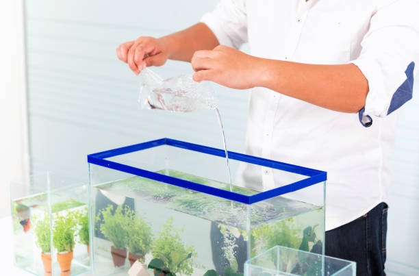 Aquarist caring for their tank.