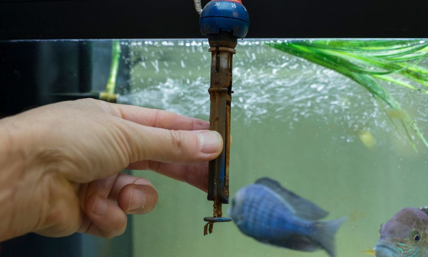 Old heater that needs to be replaced being held in front of an aquarium.