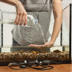 7 Winter Aquarium Care Mistakes to Avoid