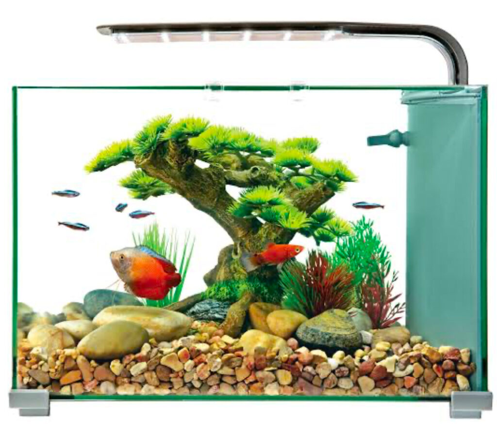 Top Fin 5-gallon Starter Aquarium.