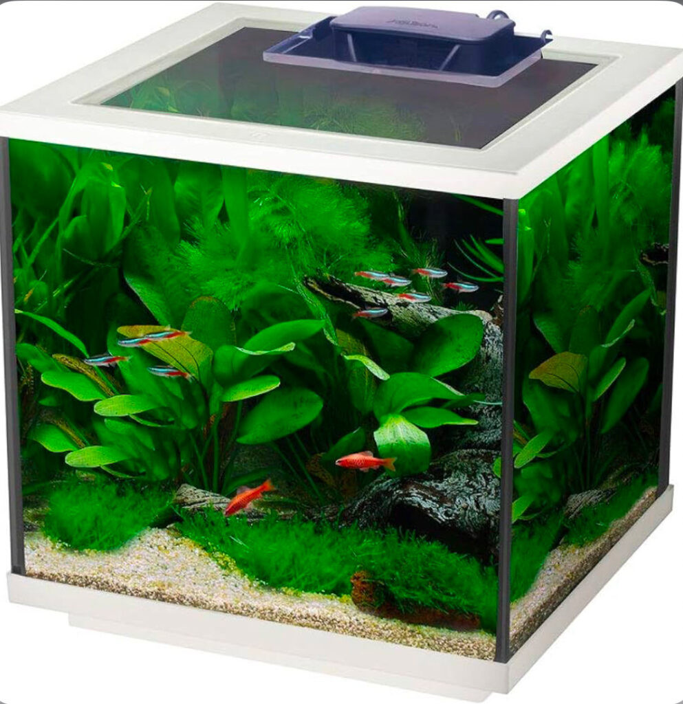 Interpet Aqua Cube Glass Tank.