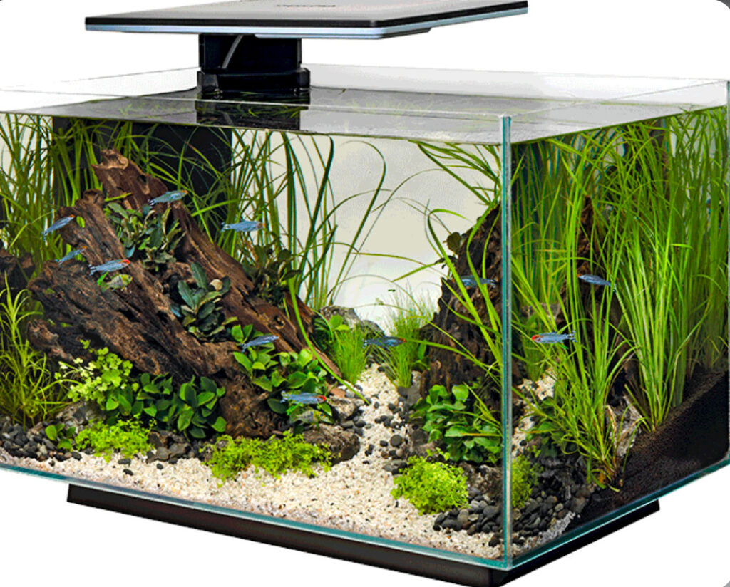 Superfish Quadro 40 Gallon Tank.