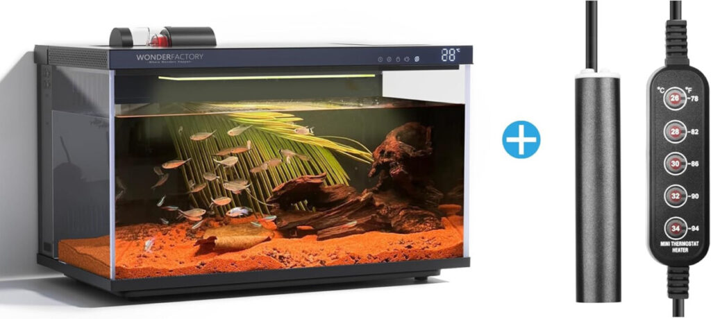 Wonderfactory 5-gallon Aquarium.