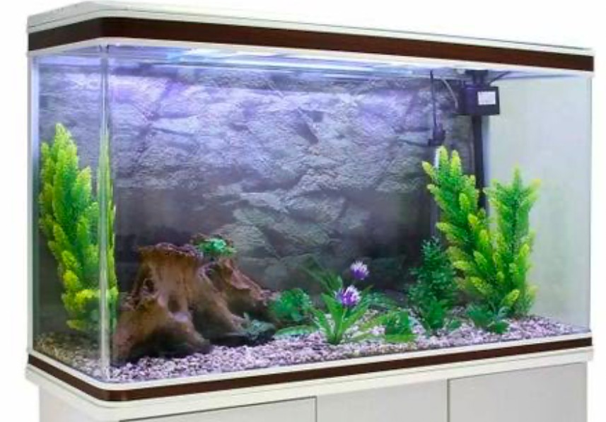 A 65-gallon long, horizontal tank with colorful interior decor
