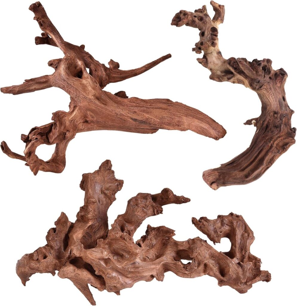 Natural Coral Driftwood (L)