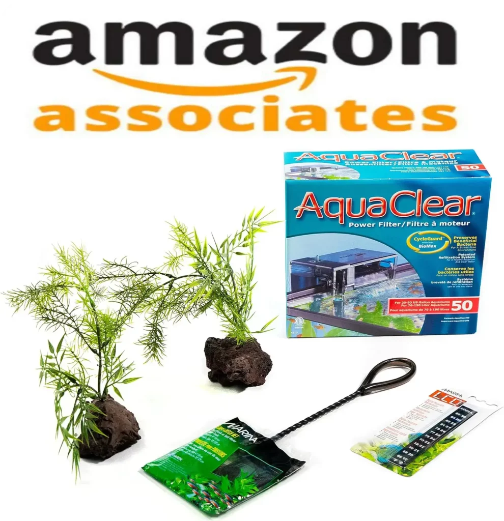 40 Gal Show Acrylic Aquarium Kit