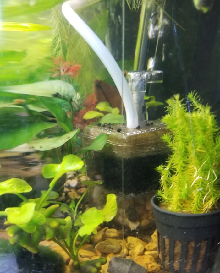 Pictured, Changed filter media