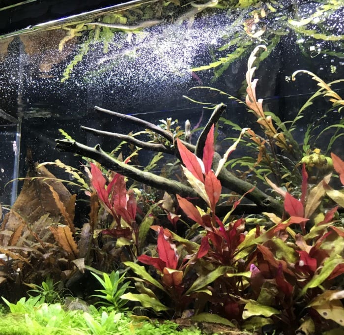 Pictured, saturated gas in water