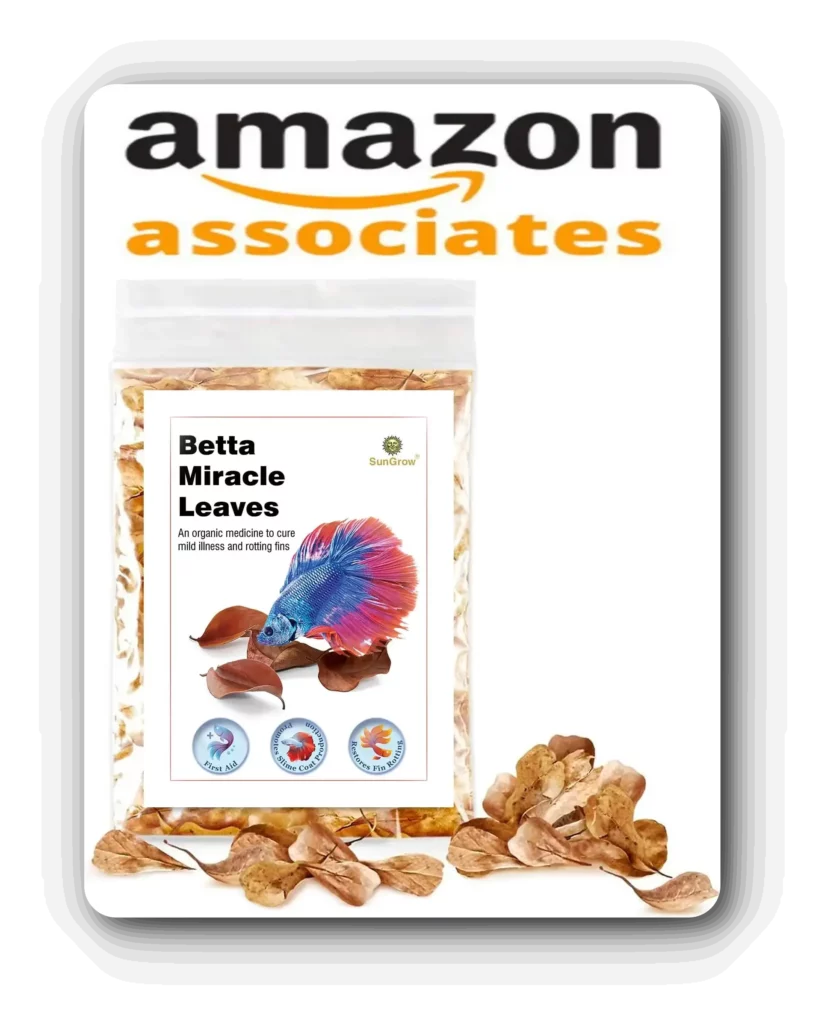 SunGrow 50 pcs Catappa Indian Almond Leaves