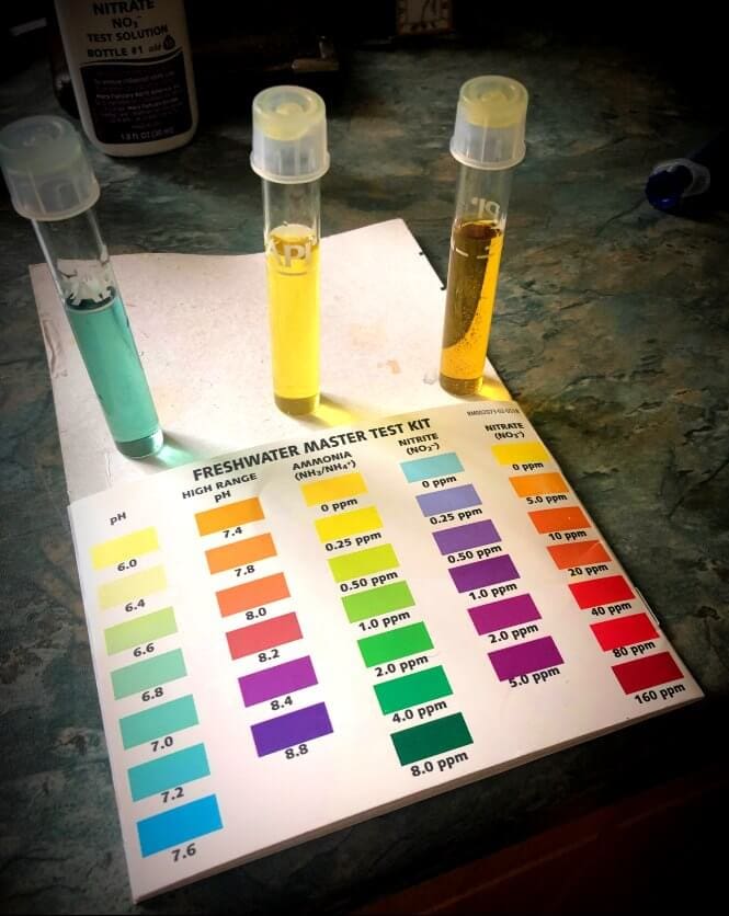 PH, ammonia, nitrite and nitrate test kit image.