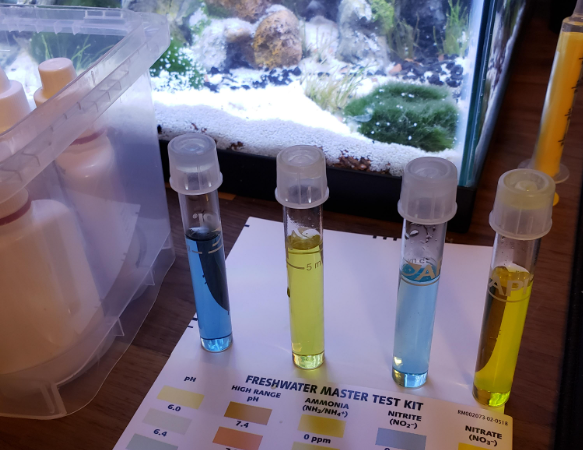 Does Baking Soda Raise PH In Aquarium?