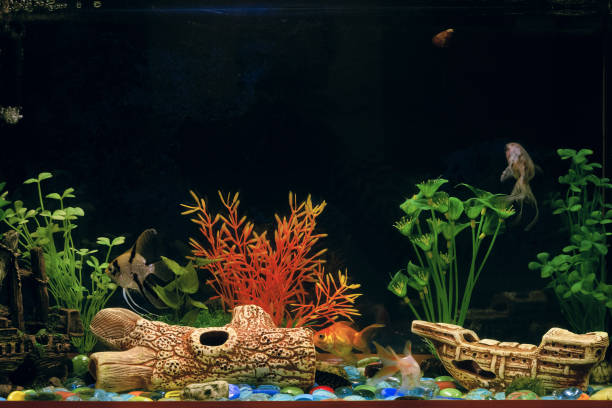 Artificial Decorations for Fish Tanks