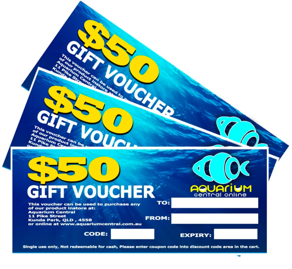 Gift cards and vouchers.
