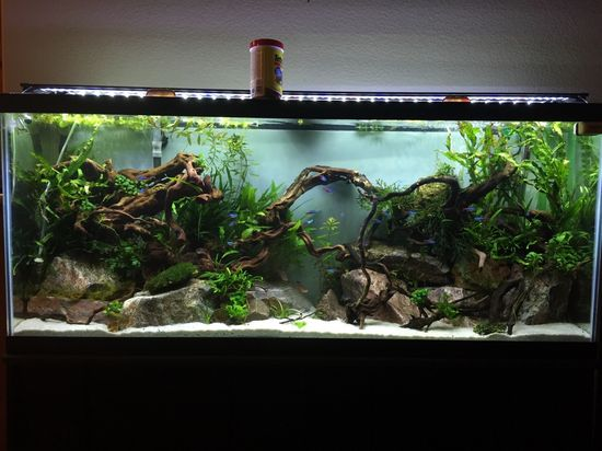 How Heavy Is A 55 Gallon Fish Tank?