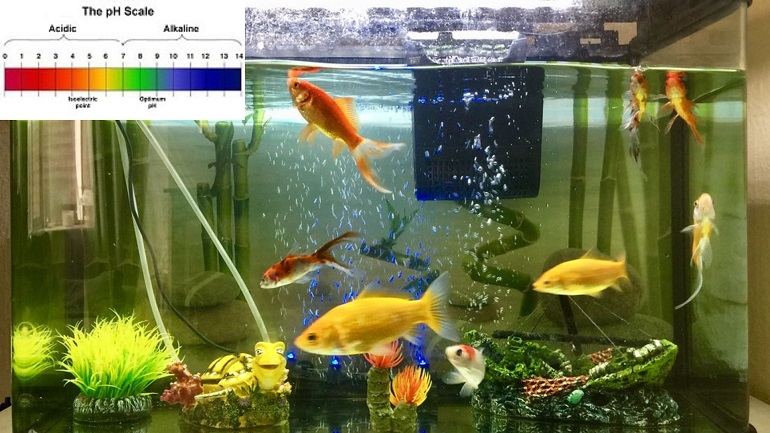 Will Baking Soda Lower Alkalinity?