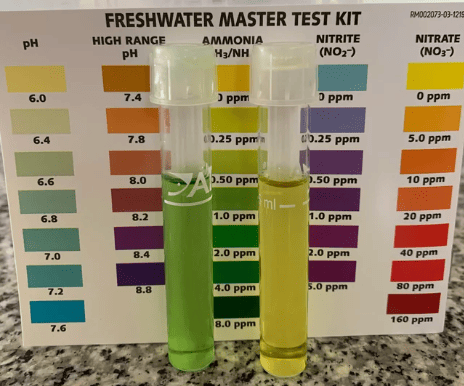 Freshwater Master Test Kit Displaying Ammonia Results