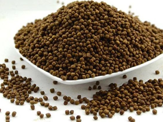 Pictured, Pellets for feeding fish 