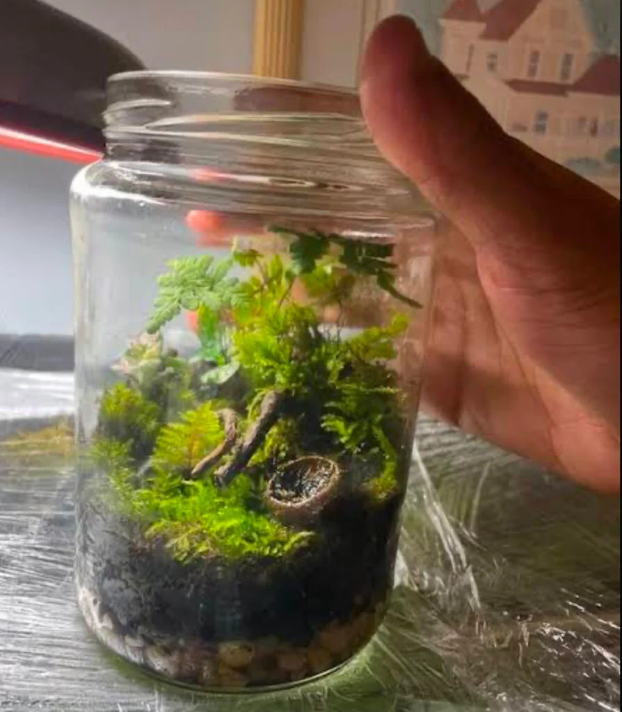 A well aquascaped jarrarium in the palm of an aquarist.