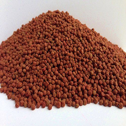 Pictured, Pellets for feeding fish