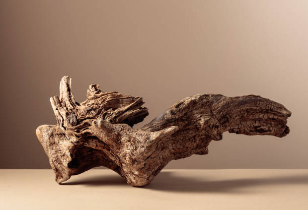 Driftwood
