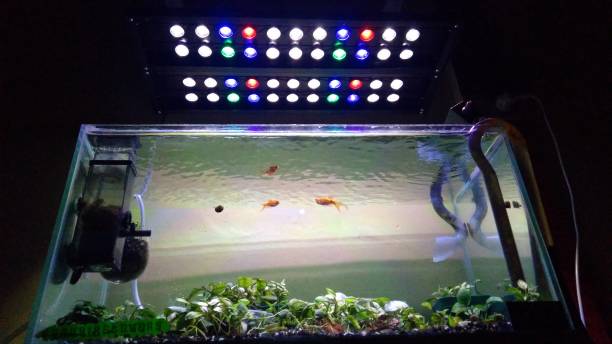 Aquarium lighting for photosynthesis of aquatic plants