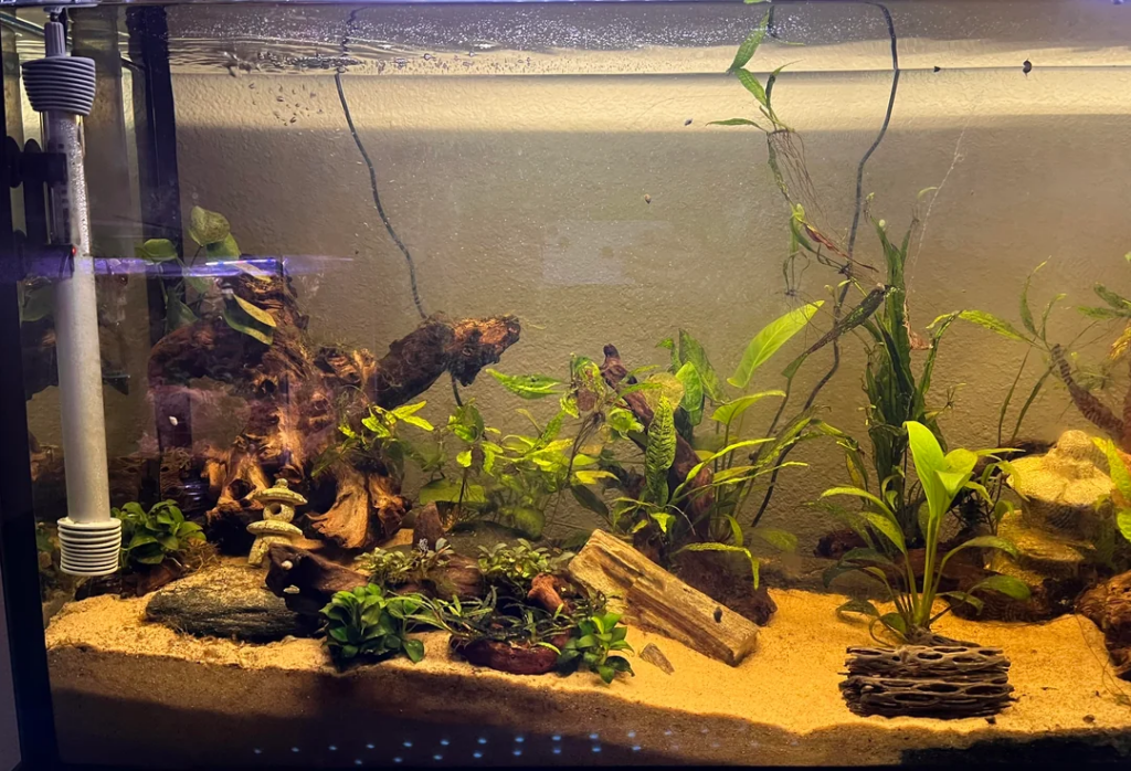 Compatibility and Tank Considerations