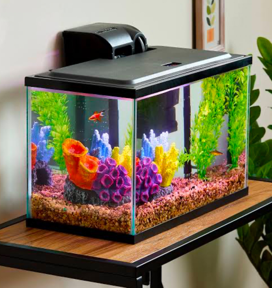 Vibrant Life Aquarium Starter Kit