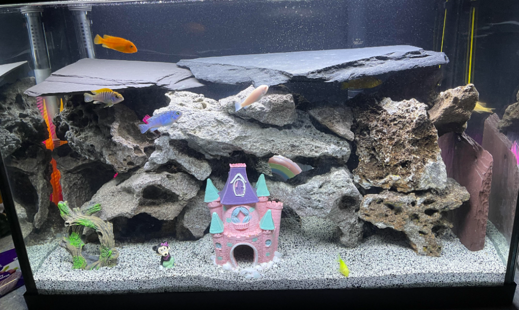 Creative Themes for Fish Tank Decoration