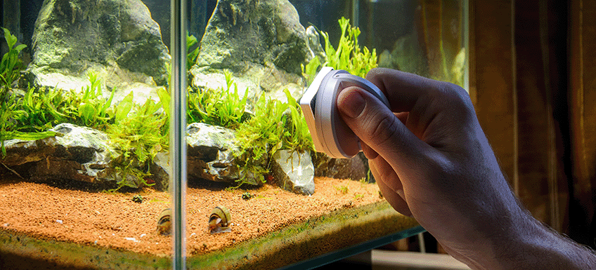 Maintaining and Cleaning Decorations