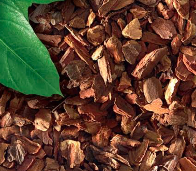 A close up of Orchid Bark.