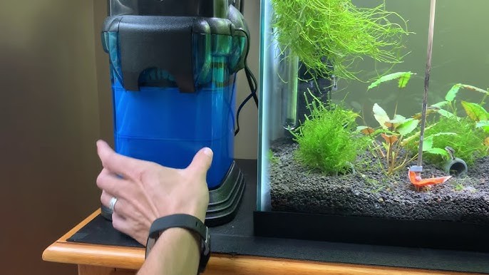 A Penn-Plax Cascade All-in-One Aquarium Canister Filter sitting next to a large planted aquarium.