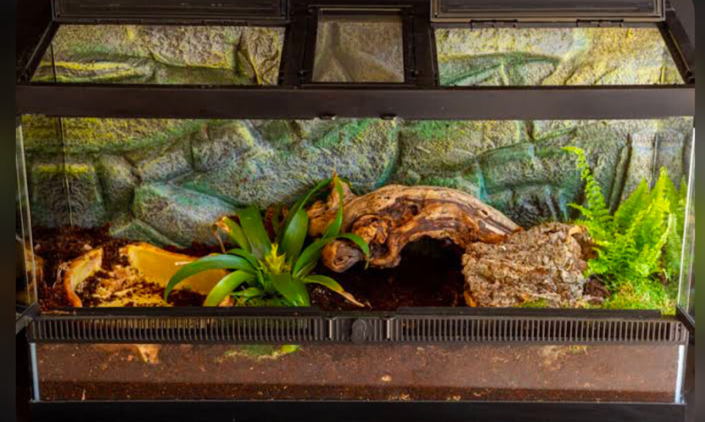 Long tank enclosure with a secure, breathable lid