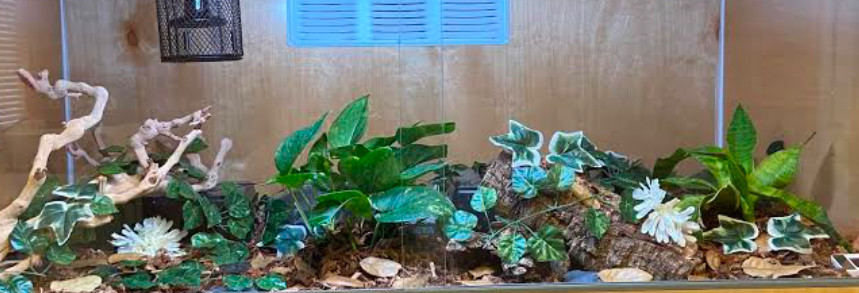 A long horizontal planted tank.