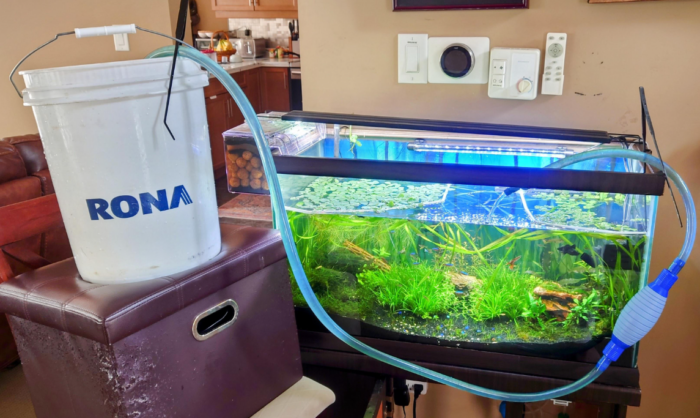 Water change and conditioning