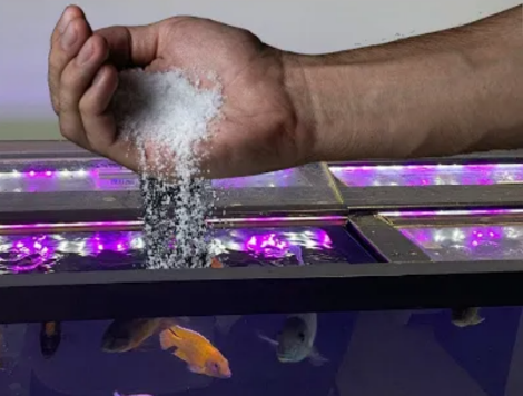 Pictured, salt treatment on aquarium