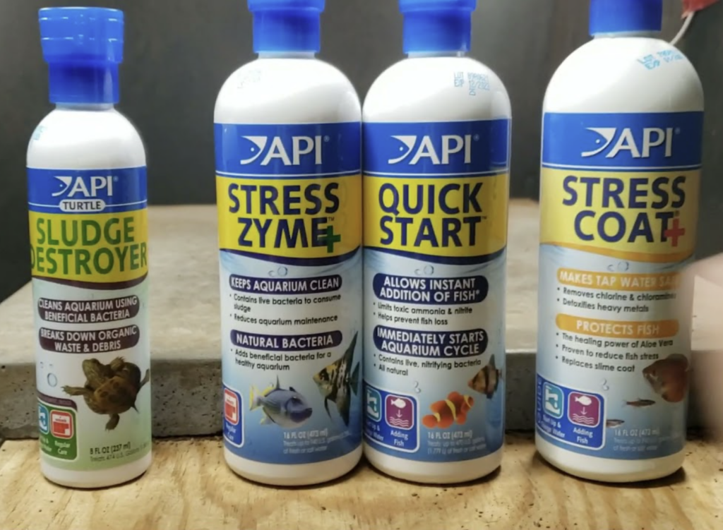 Guide to Using Fish Tank Bacteria Starters