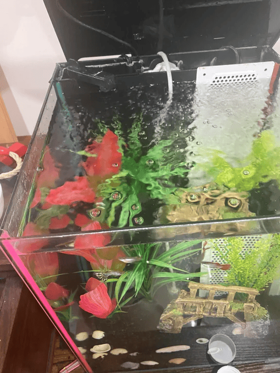 Broken Internal Aquarium Filter