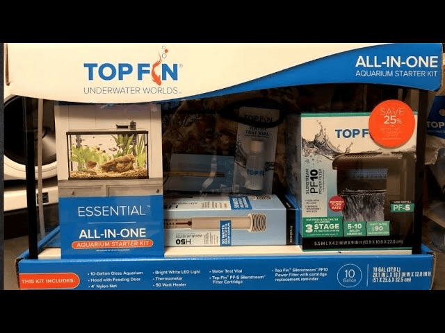 What Do You Need for a Freshwater Fish Tank?