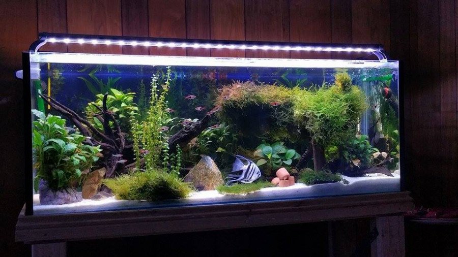 Understanding the concept of gallon measurement