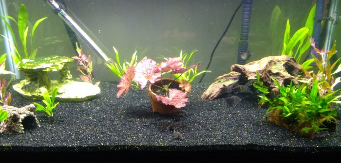 Pictured, prepare blasting sand in aquarium