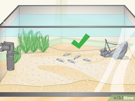 Understanding Tank Capacity: Gallons Explained