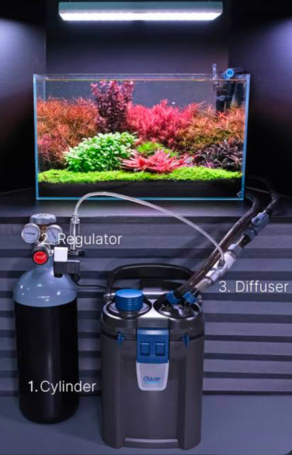 An Aquarium's filter and CO2 system.