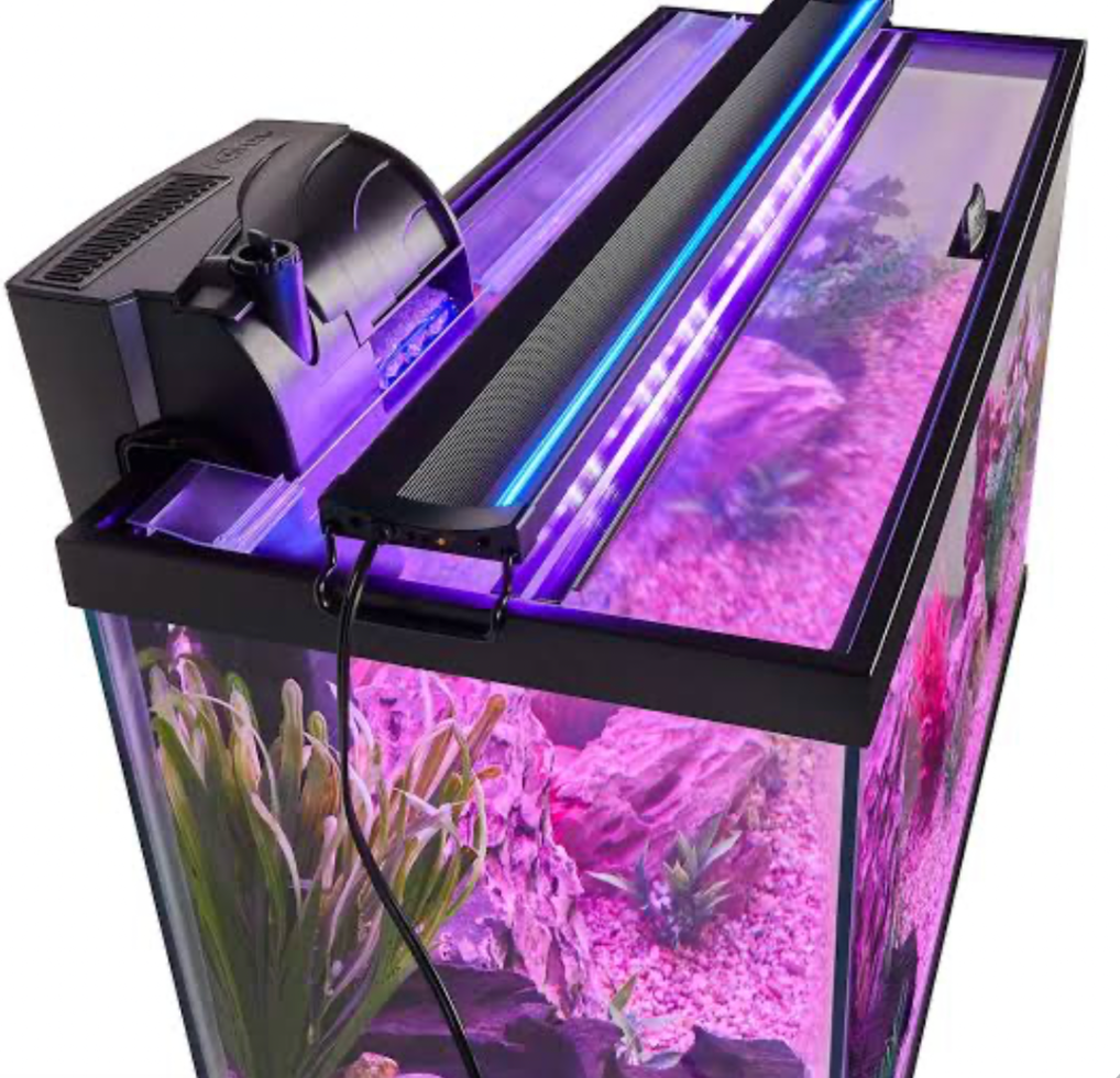 A top down view of an aquarium using LED lighting on a white background.