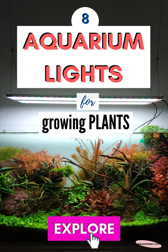 Best LED Grow Lights for Explosive Aquarium Plant Growth AquAnswers