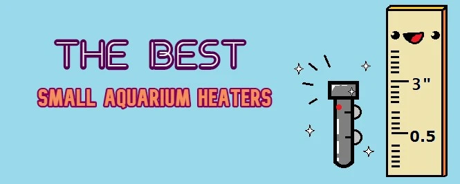 Best small aquarium outlet heater